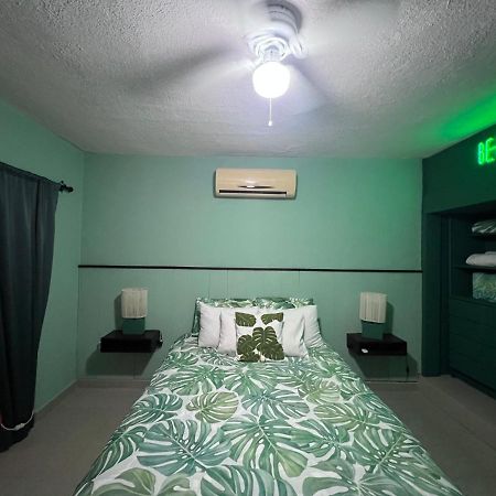 Bed and Breakfast Dici Co-Living Housing Кабо-Сан-Лукас Экстерьер фото