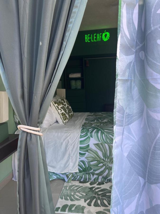 Bed and Breakfast Dici Co-Living Housing Кабо-Сан-Лукас Экстерьер фото